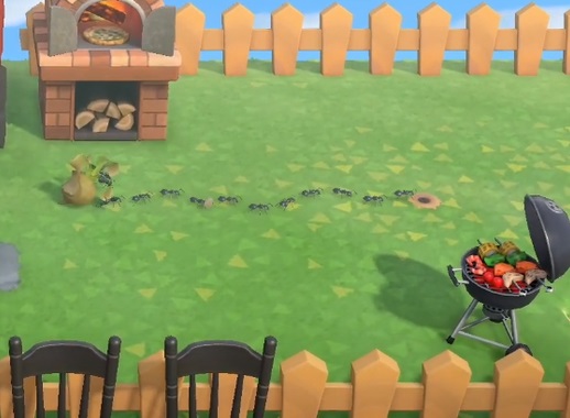 Animal Crossing